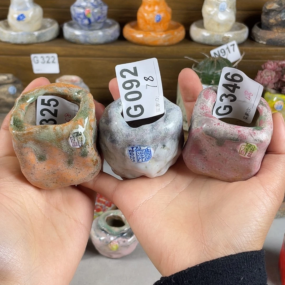 知***.坛子姐花盆  小白孤品 一组3百搭