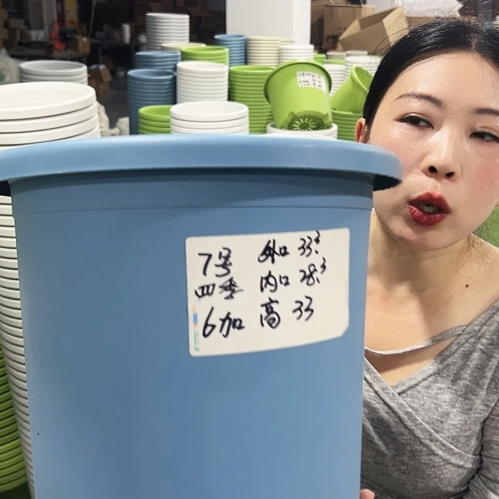 特价7号四季口33高33白色6只无托