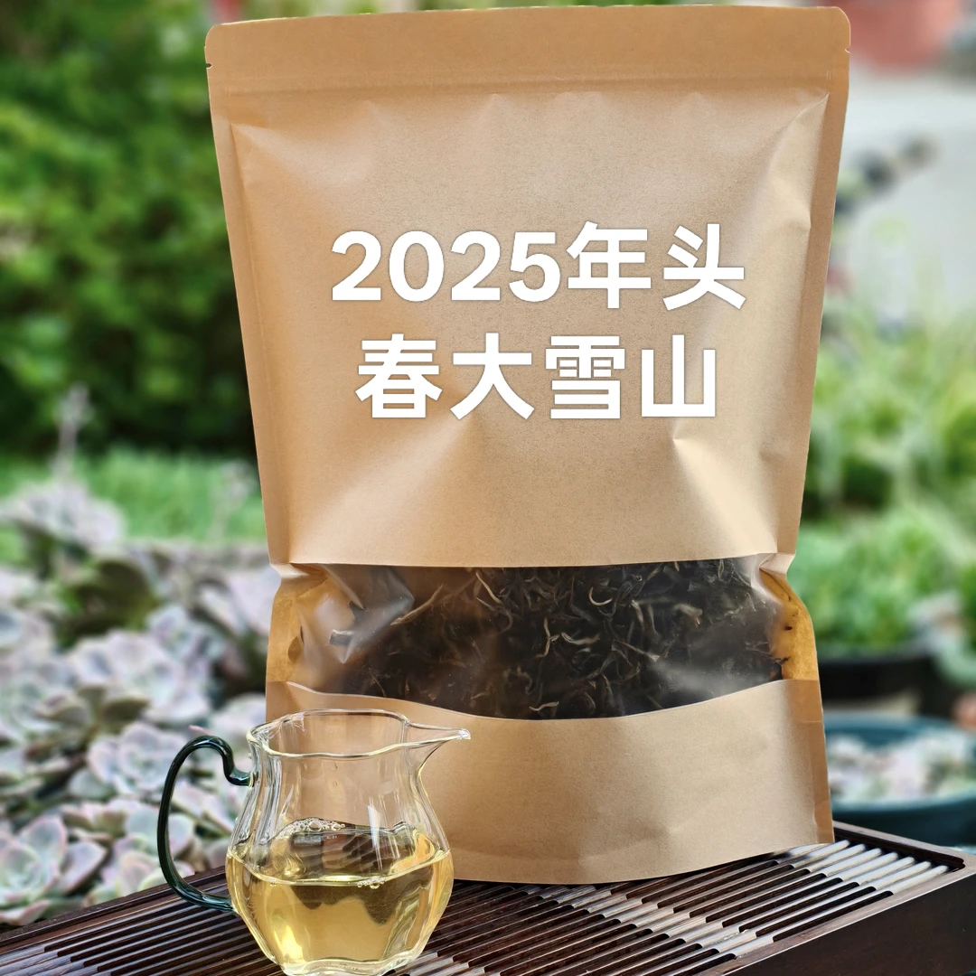 2025年 大雪山 头春茶 散料 普洱茶生茶古树晒青毛茶散茶大礼包