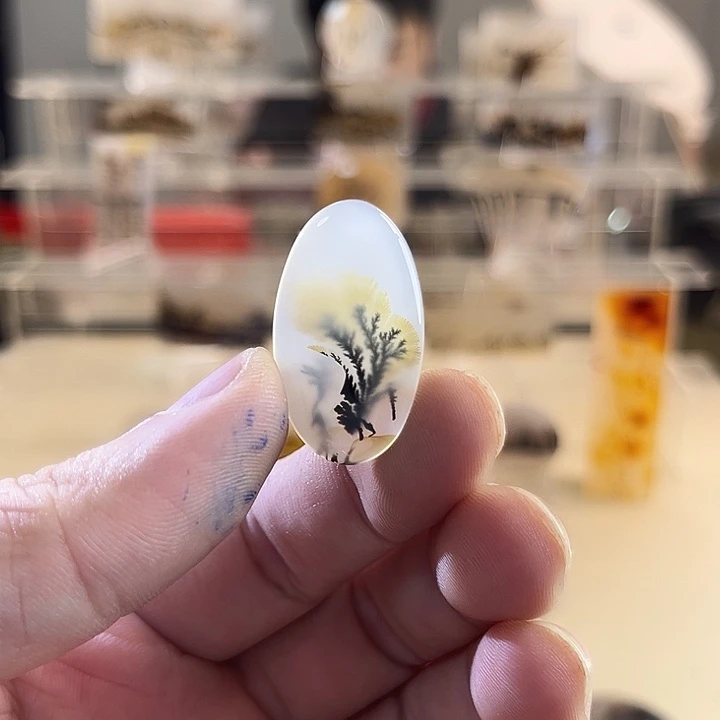 未镶嵌吊坠(不含链)玛瑙/玉髓