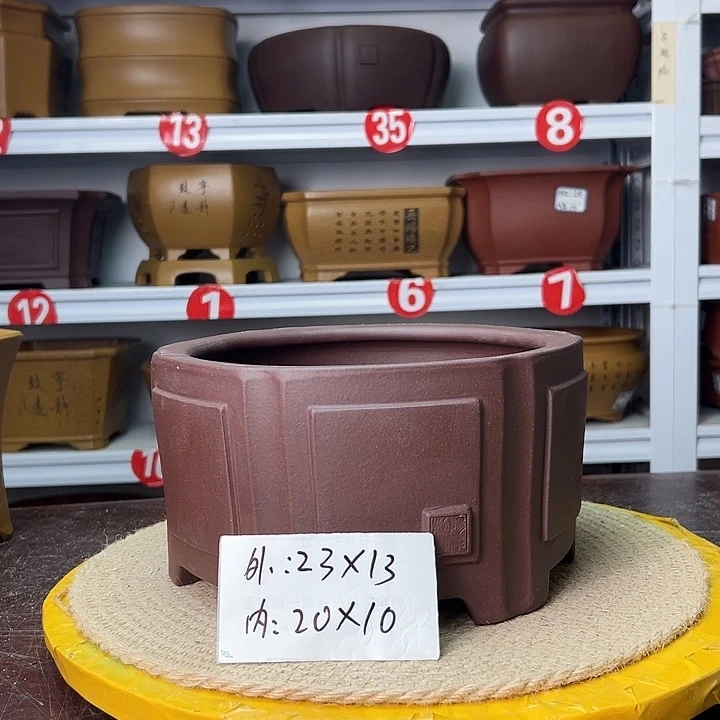 花盆紫砂蛇年大吉