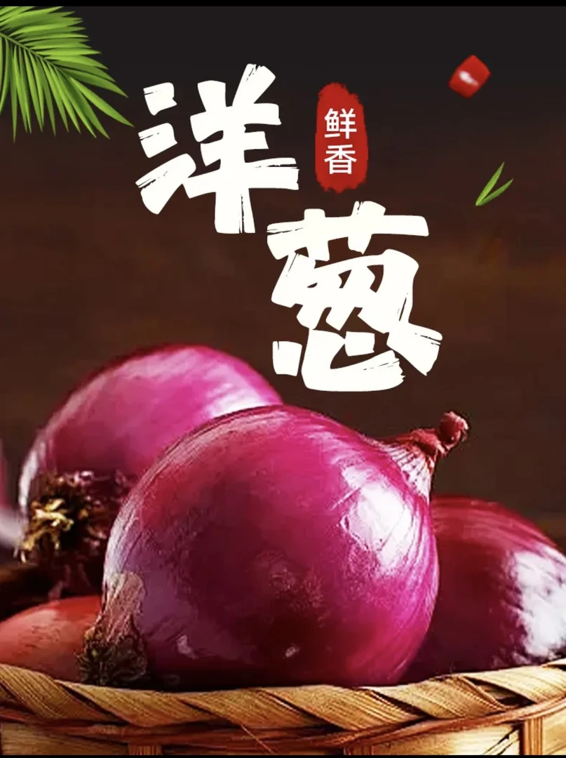 【水果洋葱】云南高山紫皮 蔬菜圆葱
