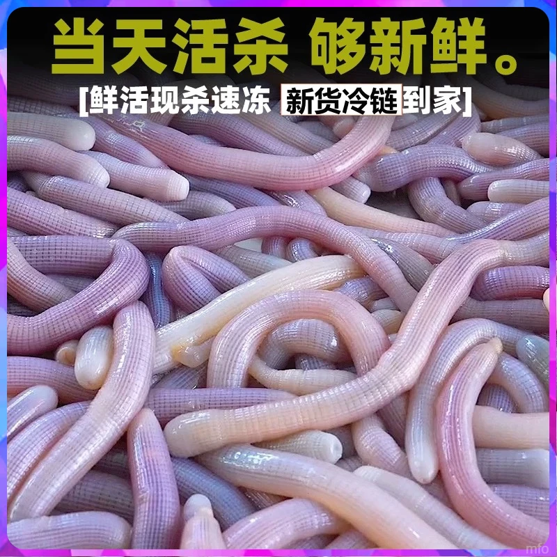 沙虫海肠子 新鲜现杀 去沙去内脏 煲汤鲜甜 顺丰冷链