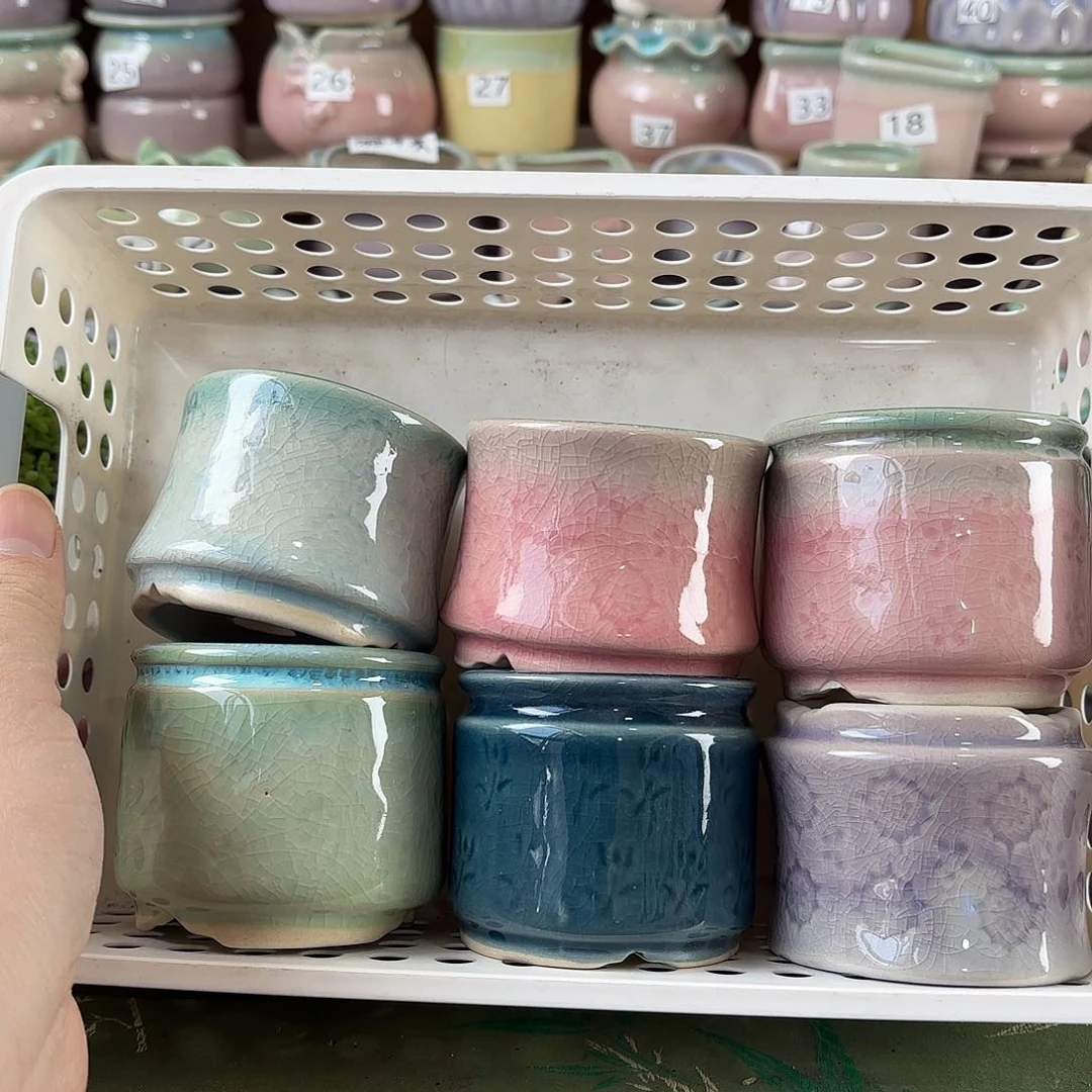 量货/口6高深浅搭配发6个