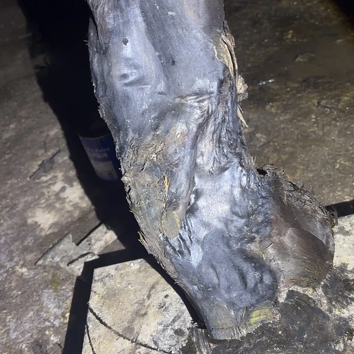 杰***筑乌木金丝楠摆件毛料