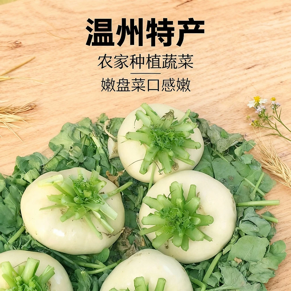 《原影》温州特产嫩盘菜新鲜农家蔬菜大头菜扁萝卜芜菁食材
