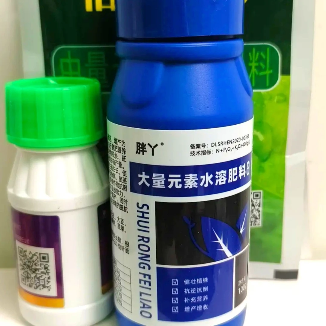 胖丫  大蒜茎杆粗壮根系发达 蒜叶浓绿 防冻防病 快速生长