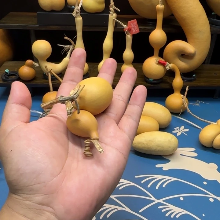 常***二葫芦1555888888哈哈