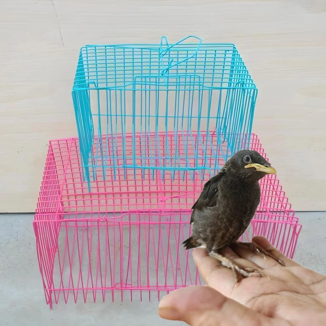 小黑运输专用鸟笼