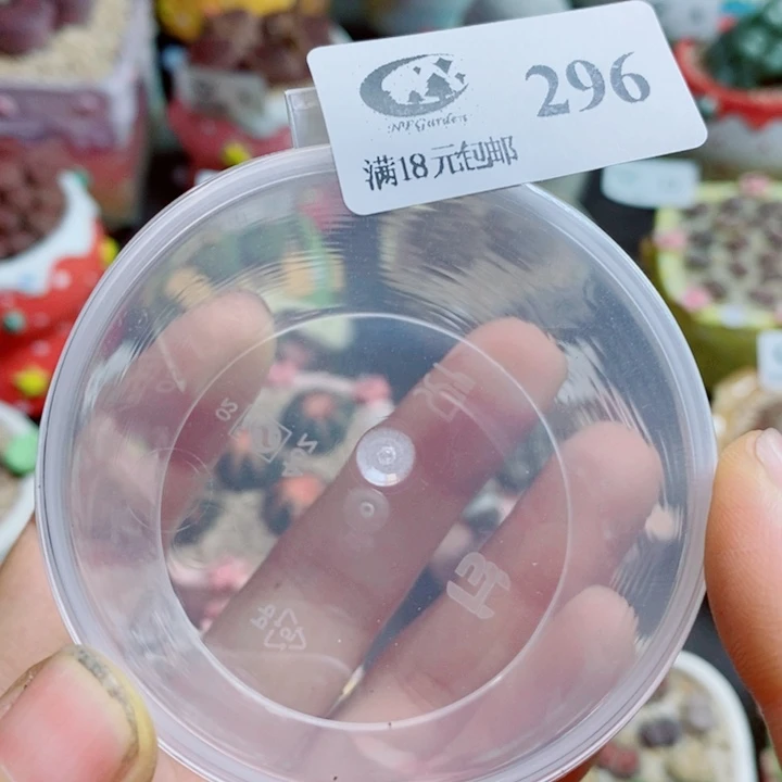 短***芙生石花花花花花花花296