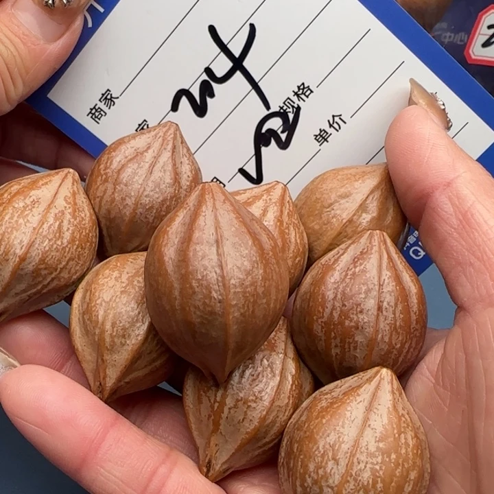 H***_橄榄核手串橄榄核