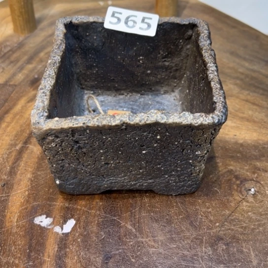 纯***发565////////////////////