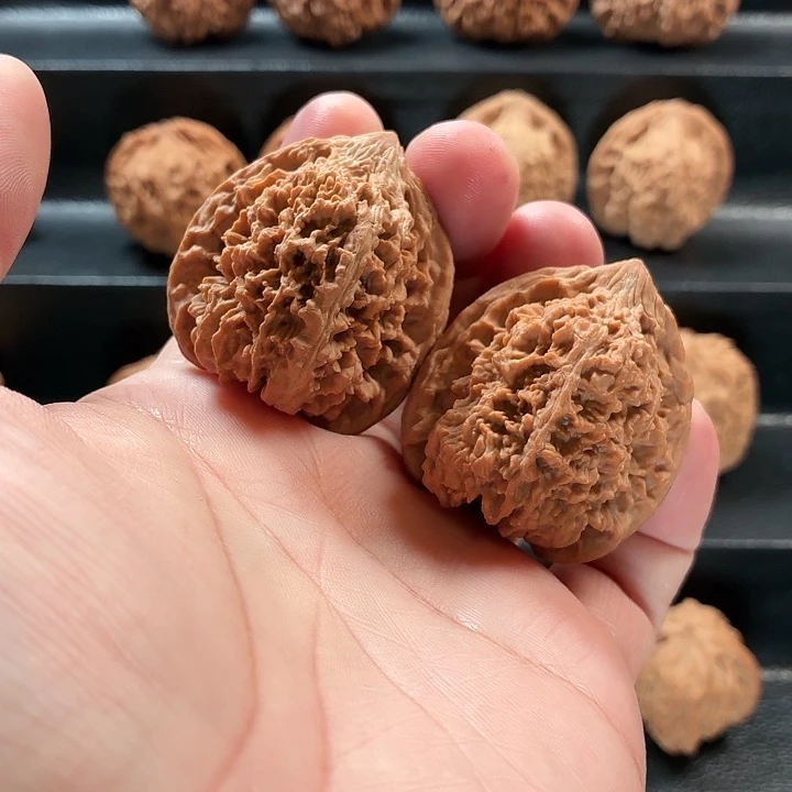 把件桃核山地无药满天星40