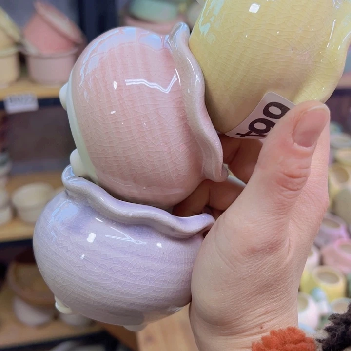 陶瓷花盆当场凑单12包邮