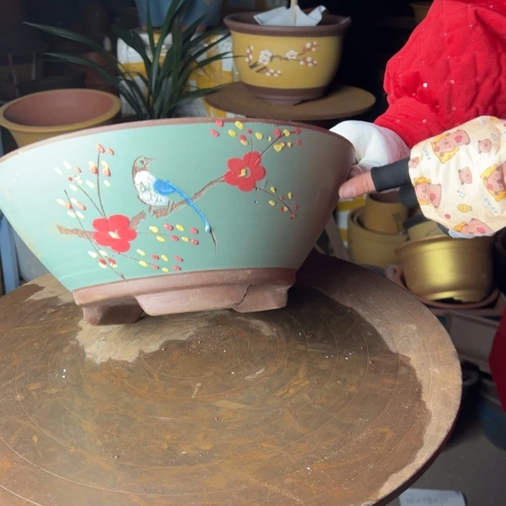 紫砂绿斗盆点菜30欧华欧