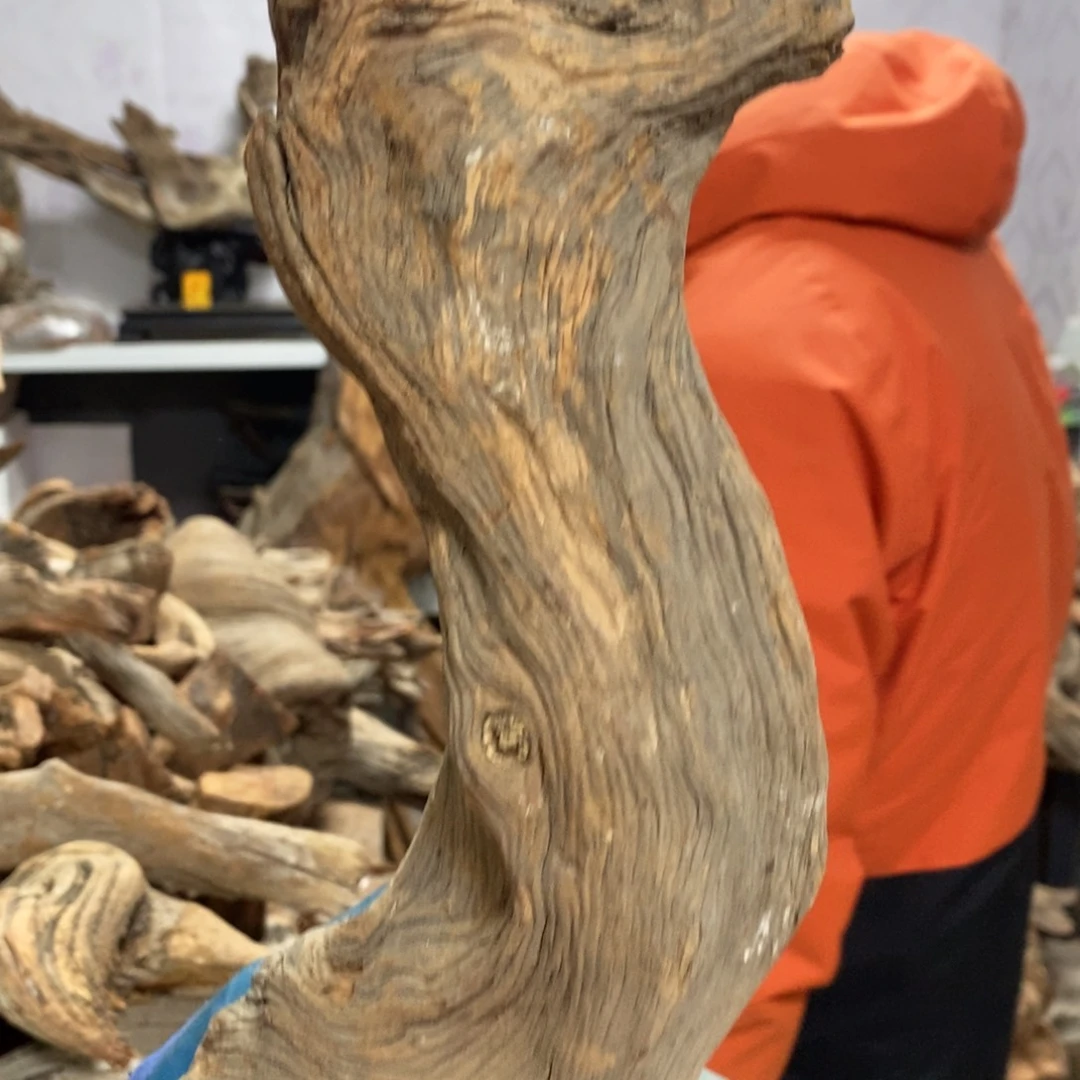 柏木蛇**转我们都是好孩子