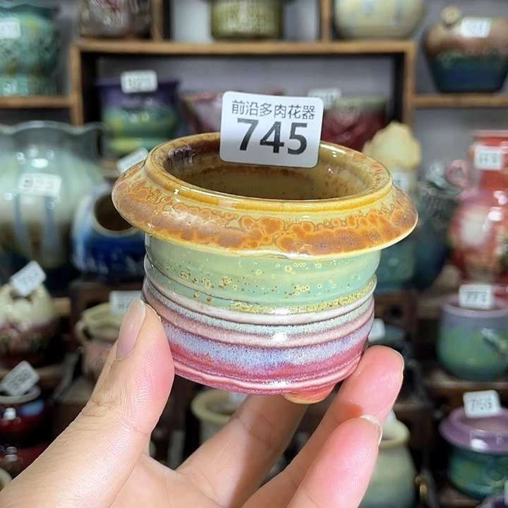 红陶内口径6高度6