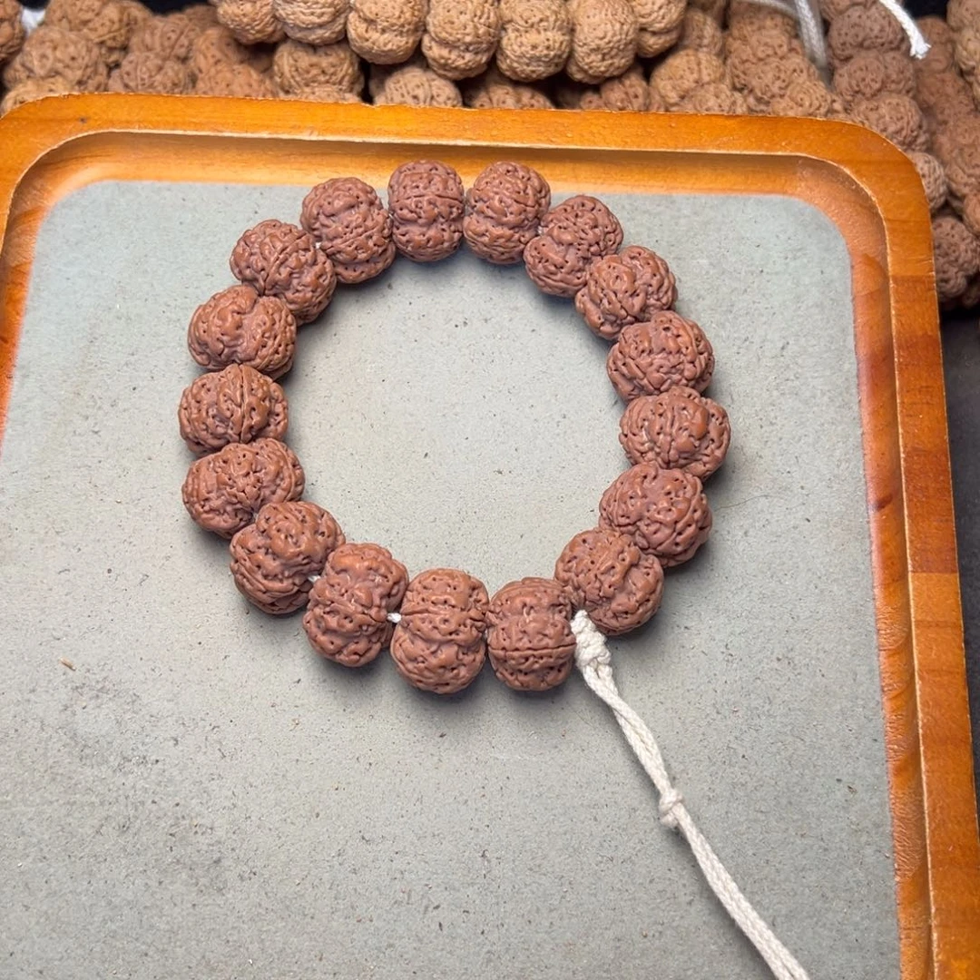 菩提22号金刚菩提扇面21