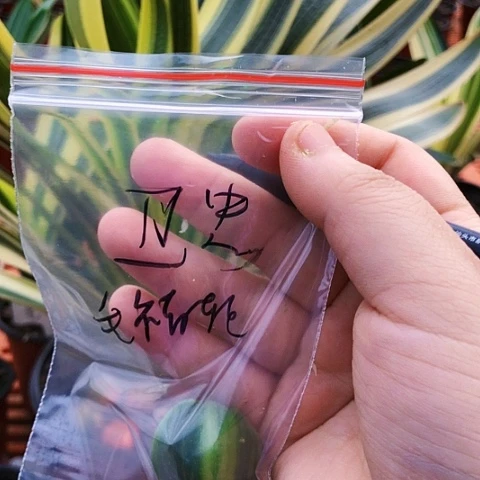 【闪购商品】卫*直播间