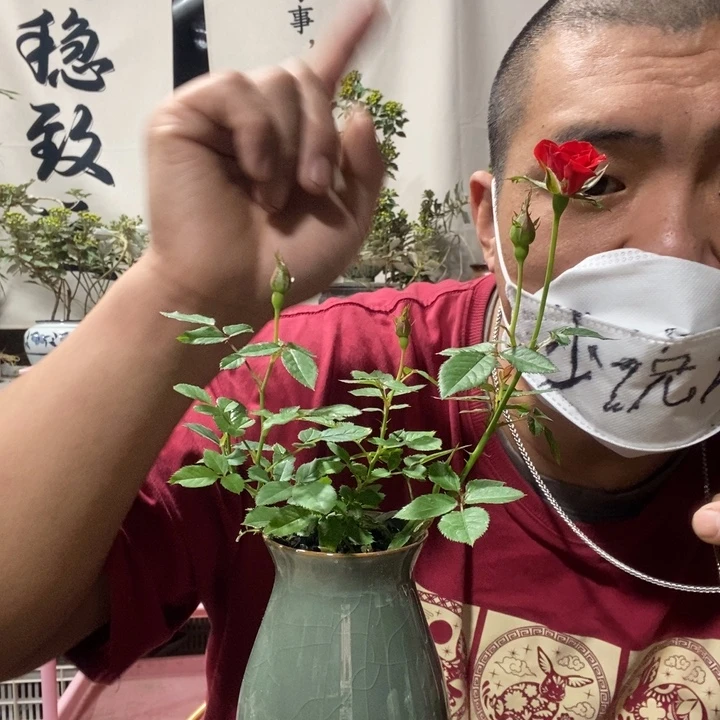 无花朵退款拉黑拉黑132