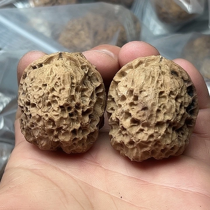 文玩核桃把件37号蜂窝蟾钟41尺