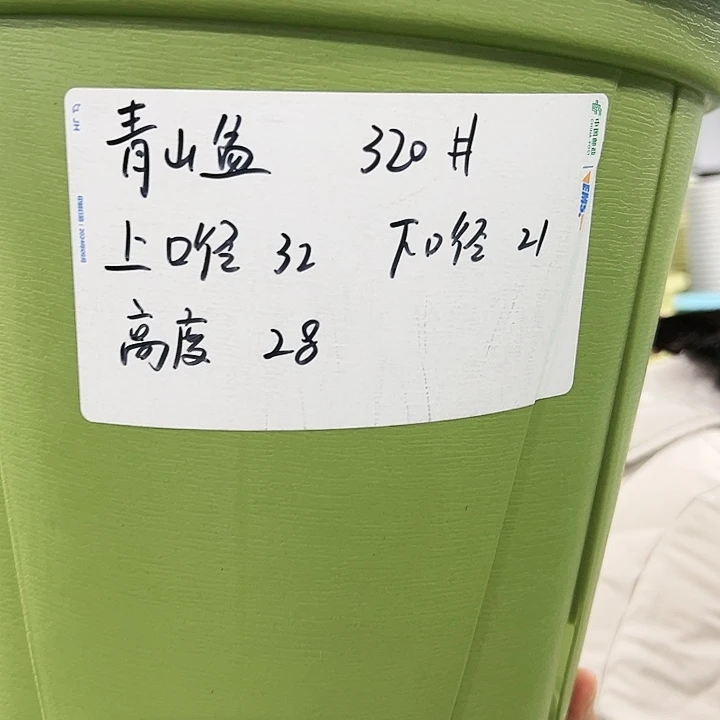 正品青山口32高28灰白色5只无托