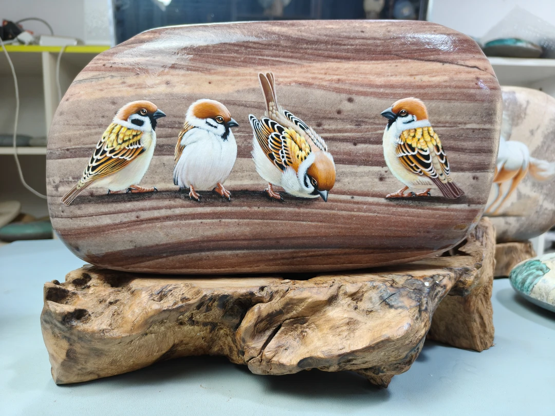 石头小哥手绘麻雀作品