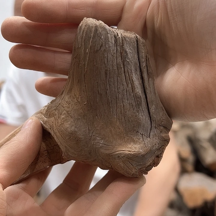 柏木连**果我们都是好孩子呀我也是想