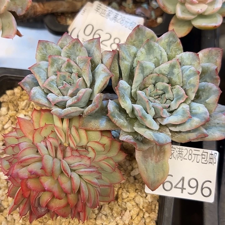 幸运的是我还没遇到过这样