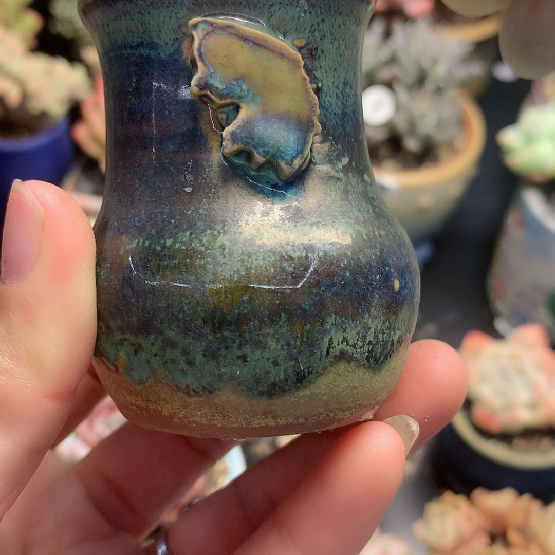 【闪购商品】蒲*英蒲公英盆