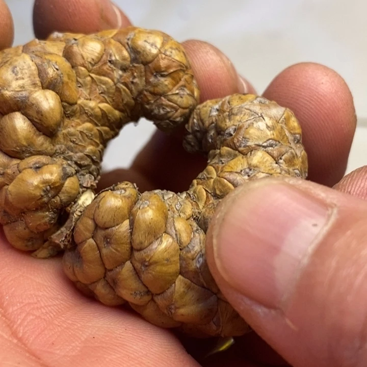 桃核吊坠东北特产24