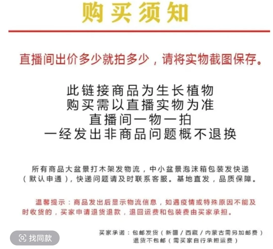 黄杨原生山采小叶紫薇三叶红芽赤楠木绿植盆景树基地花卉盆植物