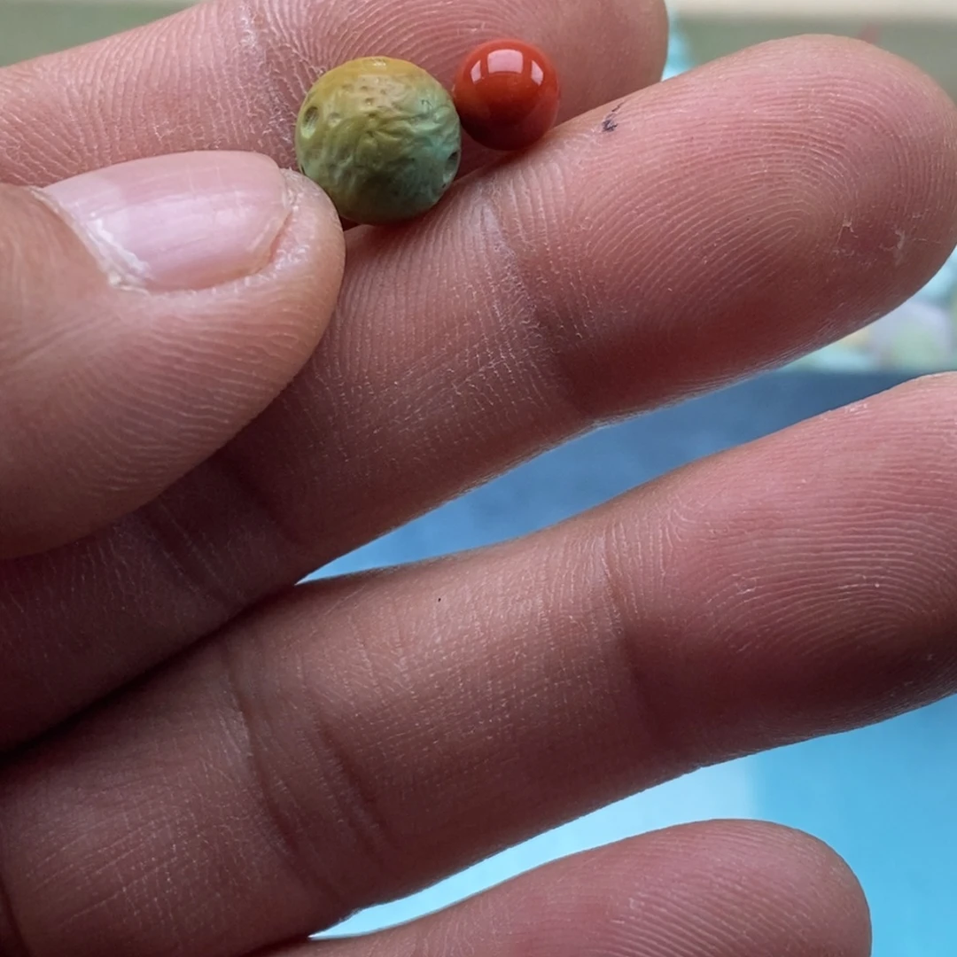 俊***i南红玛瑙未镶嵌珠宝半成品