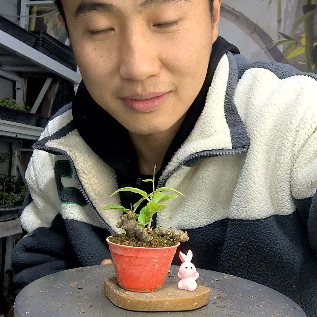 橙*中青园艺一物一拍164