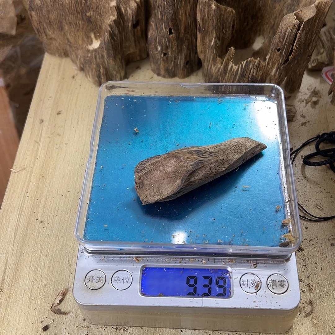 香料绿奇楠虫漏乌身树丁9克