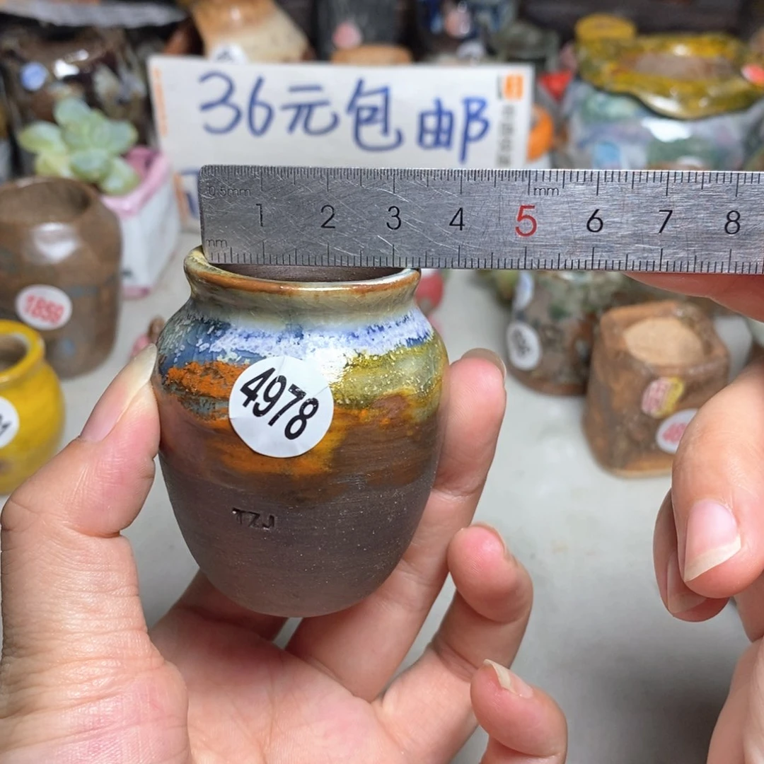 拍5送一个小礼物