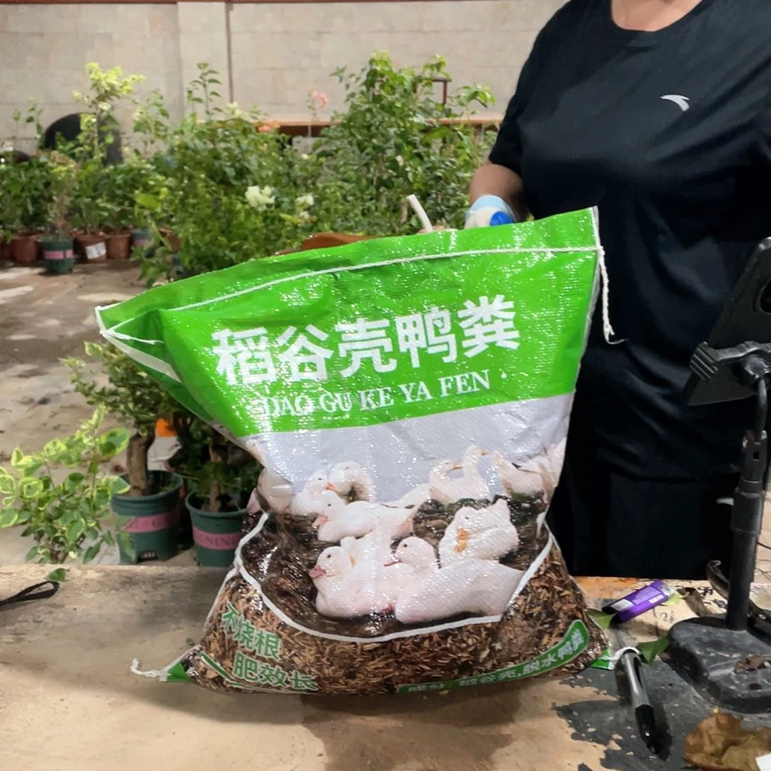 无花朵鸭肥1111111