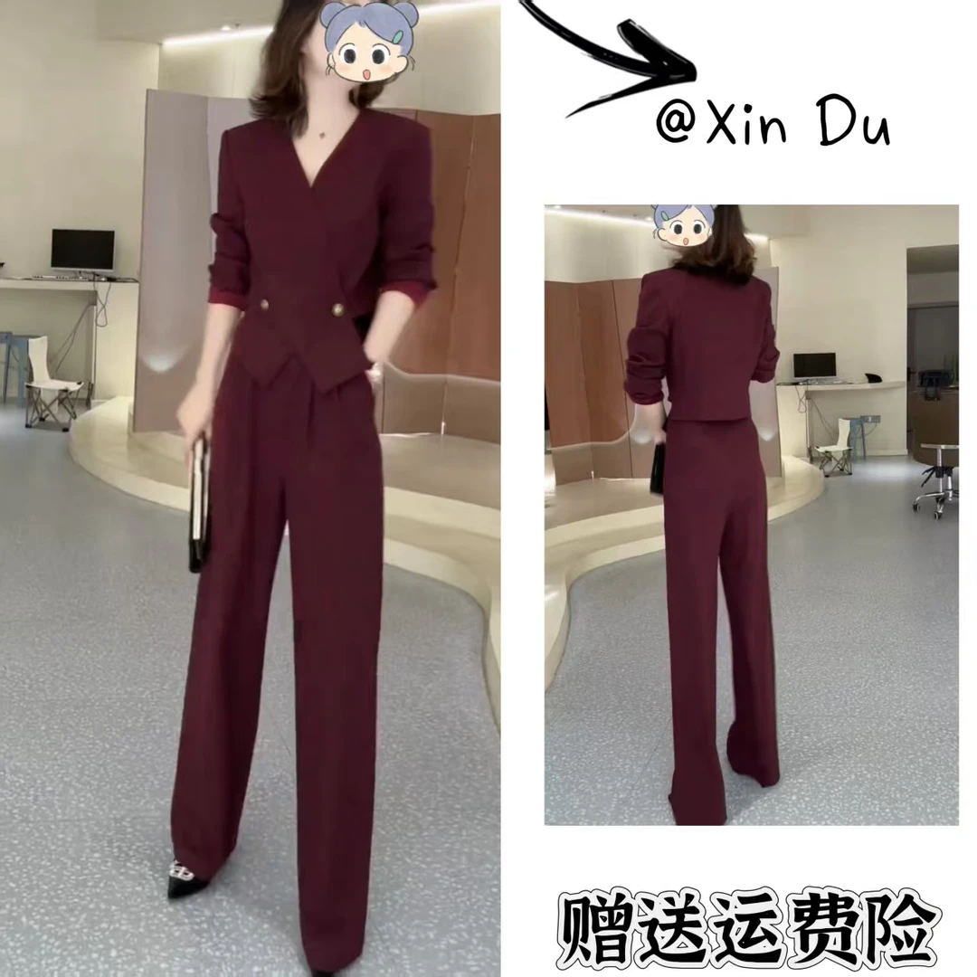 2025秋季新款时尚显瘦气质女士网红洋气两件套百搭款D23197