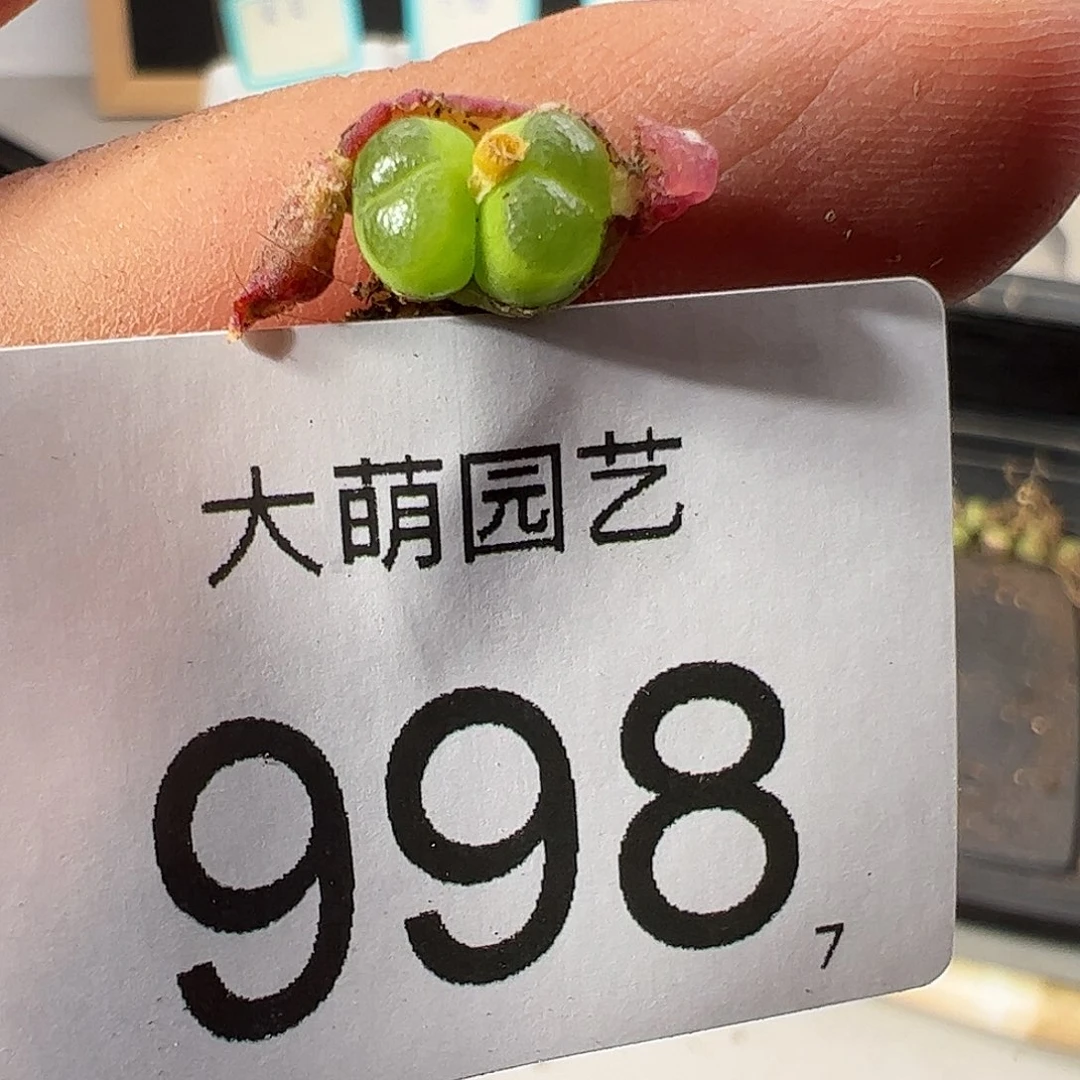 是**吖0000988一物一拍……