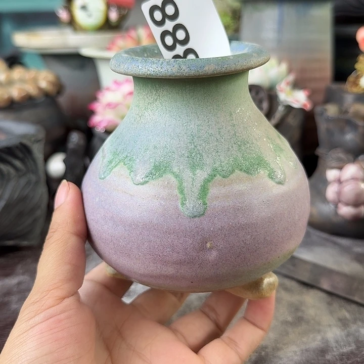 重庆小燕子欢迎大家888