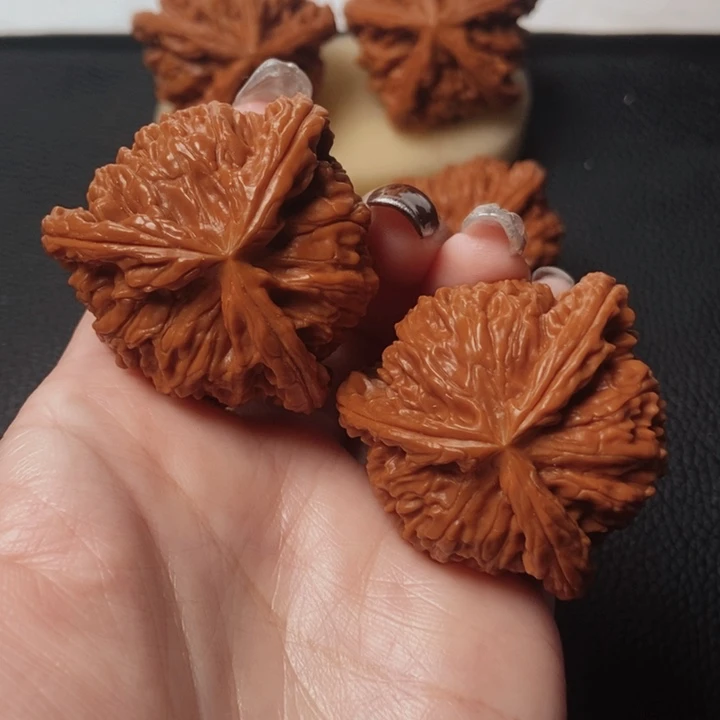 禾****烤和他的核桃核桃