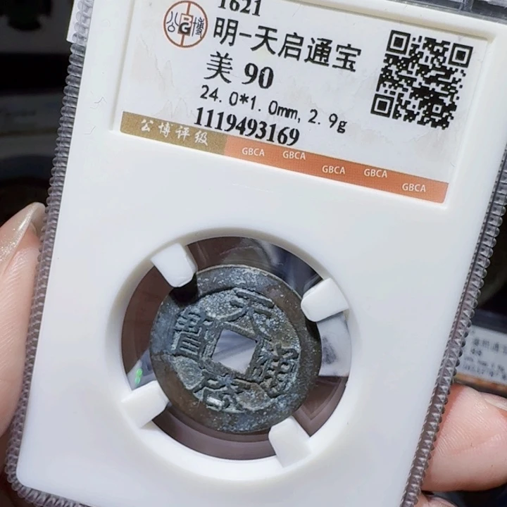 铜DX评级币一个，3169