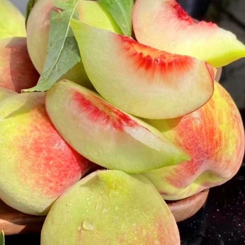 正宗脆甜赣南鹰嘴桃自家果园种植每日新鲜采摘直非连平