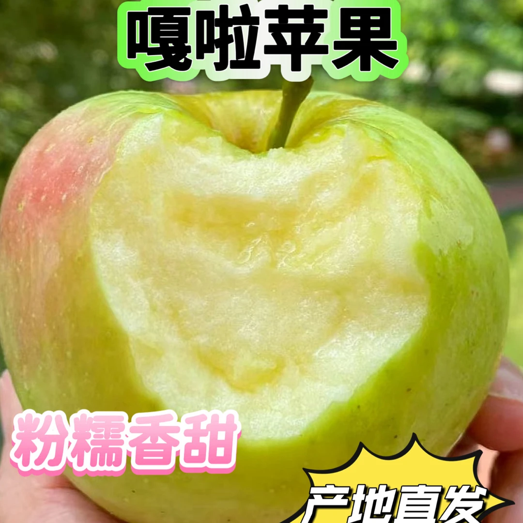 山西头茬青黄嘎啦苹果新鲜现摘粉糯香甜宝宝孕妈妈当季鲜果