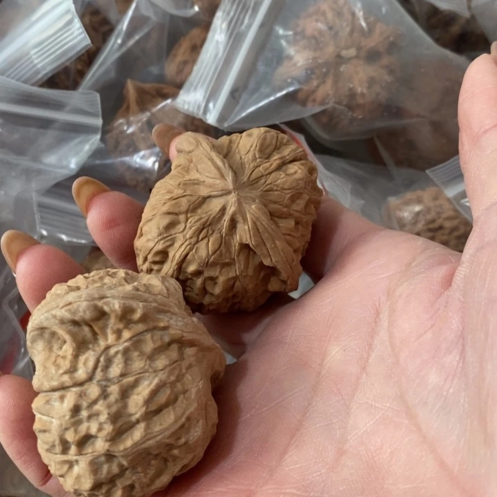 橙*?南瓜炖南瓜炖南瓜炖