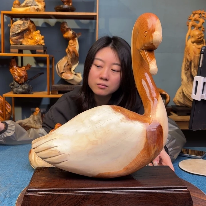 柏木（崖柏）关注一下