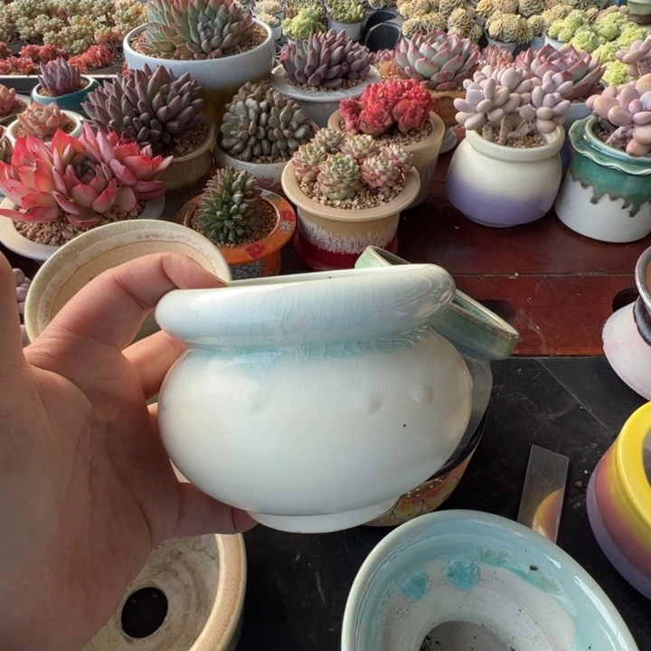 特价花盆 满50发货 内口9