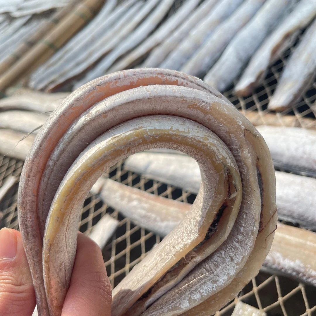 【厂长推荐】风带鱼小眼睛带鱼油带鱼干货舟山东海风带鱼咸带鱼