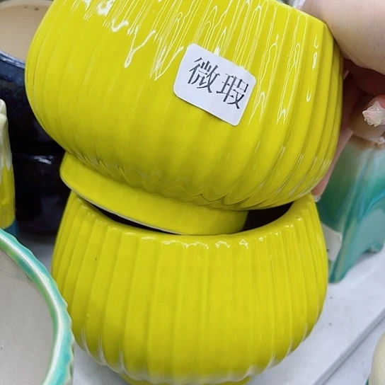 多肉绿植陶瓷花盆9.9包邮，有空
