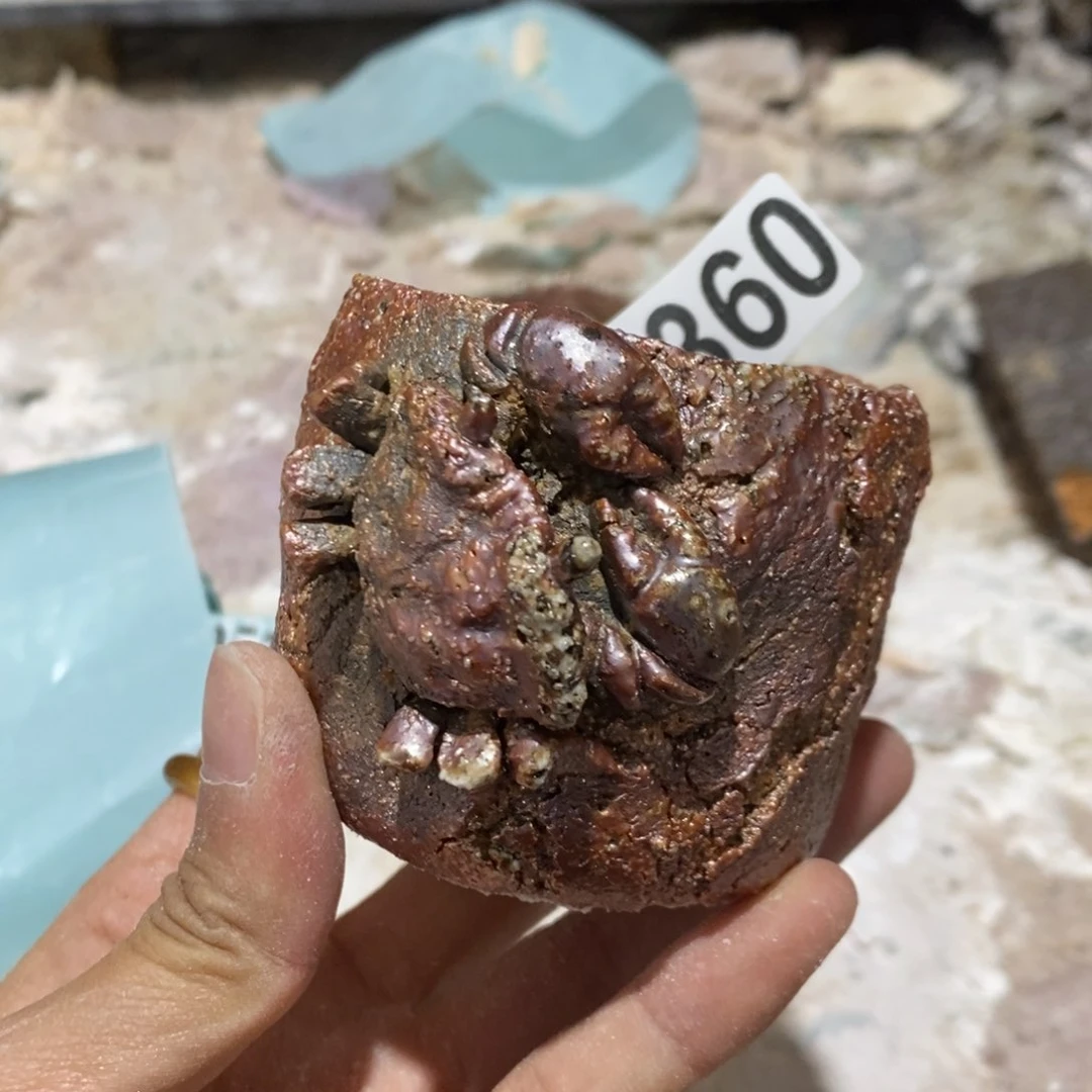 陶园柴烧，精品高货。360